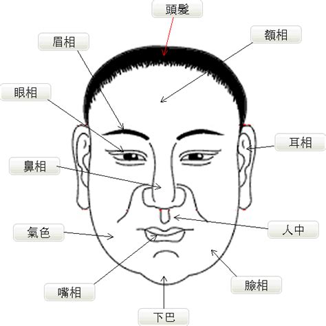 面相圖|面相圖解